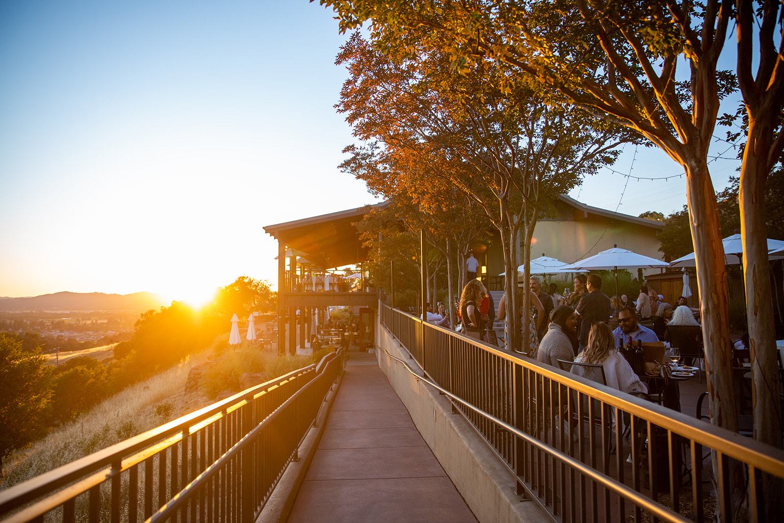 Paradise Ridge Wine & Sunsets July 22