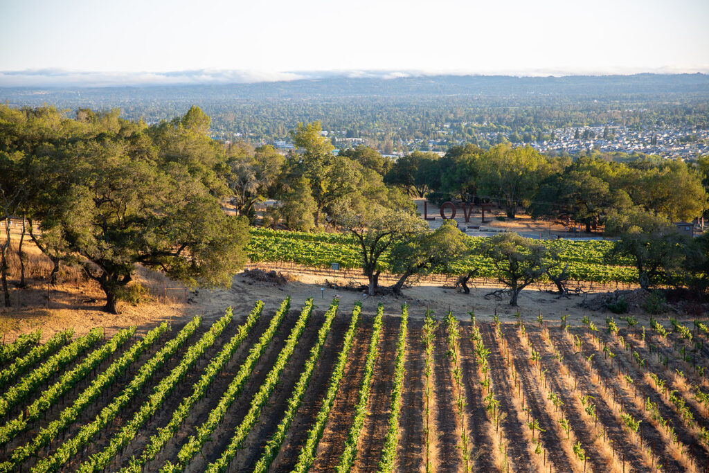 Paradise Ridge Wine & Sunsets July 22