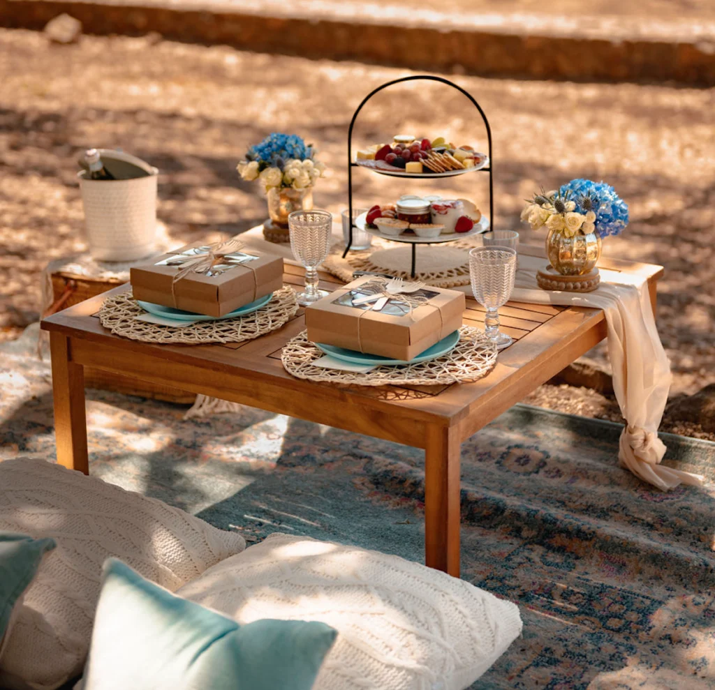 Standard Picnic by Picnic Potential