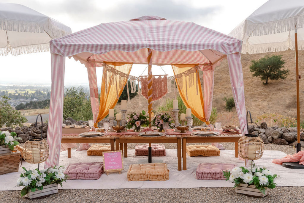 Picnic tent and setup
